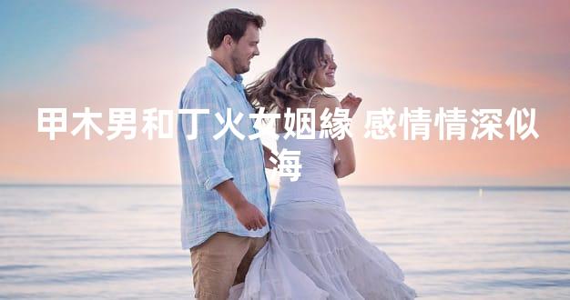 甲木男和丁火女姻緣 感情情深似海